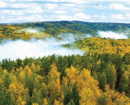 Hailaer National Forest Park